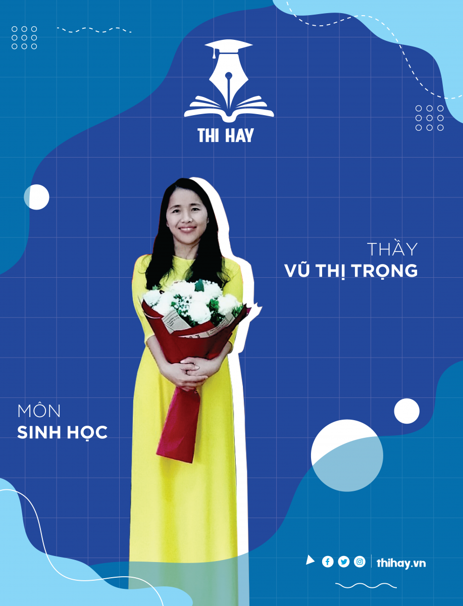 Vũ Thị Trọng